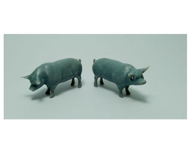 Chanchos x 2 unidades