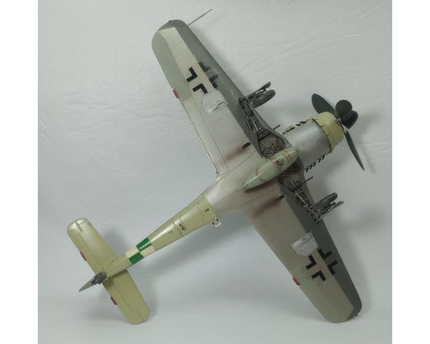 FOCKE-WULF FW-190 D9 - 1/48