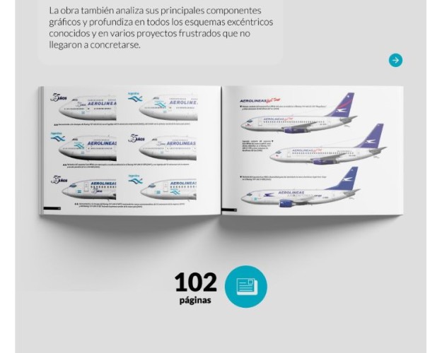 PLUMAJE DE CÓNDOR - Los colores de Aerolíneas Argentinas