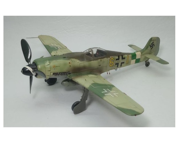 FOCKE-WULF FW-190 D9 - 1/48