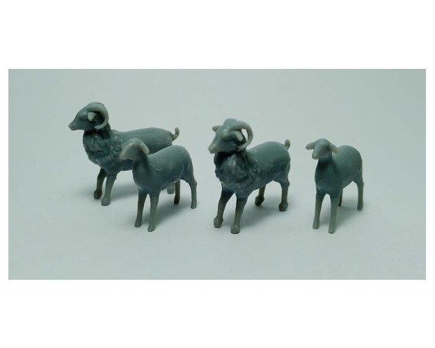 Cabras x 4 unidades