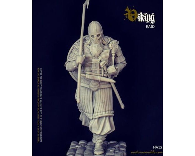 VIKING RAID