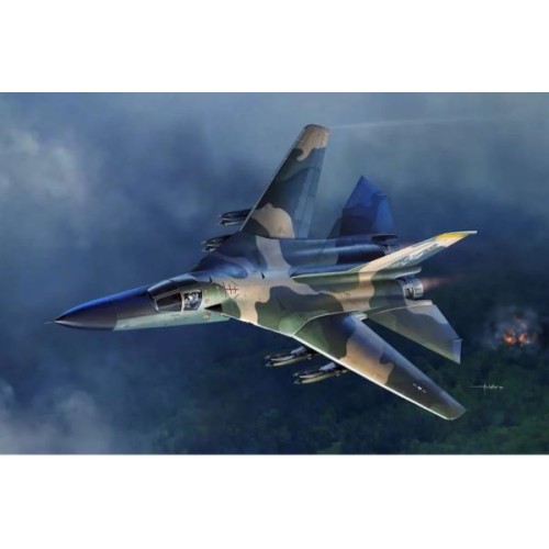 USAF F-111 A ARDVARK "VIETNAM WAR"