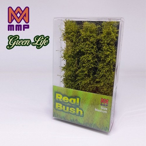 LIMA REAL BUSH