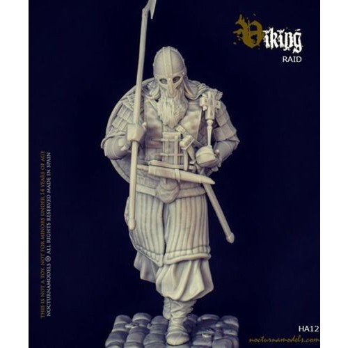 VIKING RAID