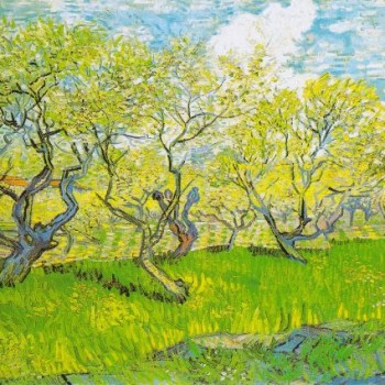 Vincent Van Gogh: Orchard in Blossom