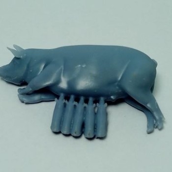 Chancha con crías