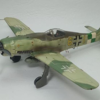 FOCKE-WULF FW-190 D9 - 1/48