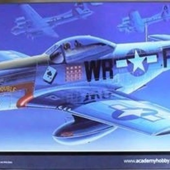 P-51D MUSTANG