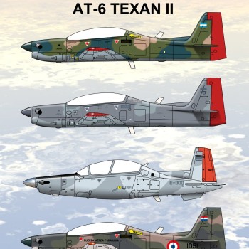 EMB 312 Tucan0 + T6-A Texan II